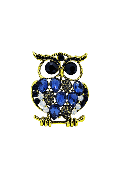 Safir Işıltılı Asalet Baykuş Broşu