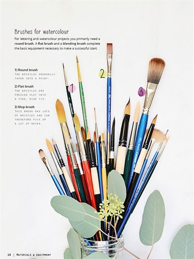 Brush Lettering And Watercolor (English)