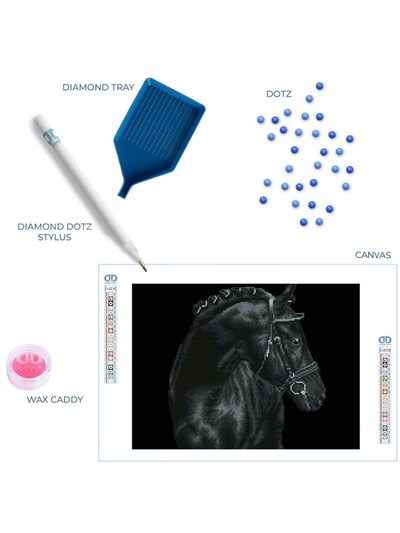 Набор алмазной вышивки Diamond Dotz - DD10.066