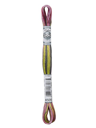 DMC Coloris Mouliné Thread 517-4509