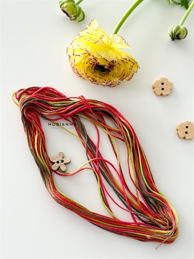 DMC Coloris Mouliné Thread 517-4510