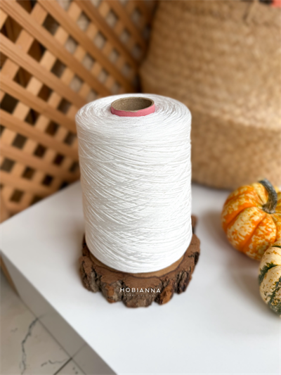 DMC Mouliné Thread 5628-BLANC - 500gr - 2100m