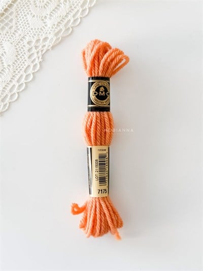 DMC Wool Skein No: 7175