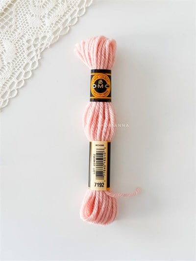 DMC Wool Skein No: 7192