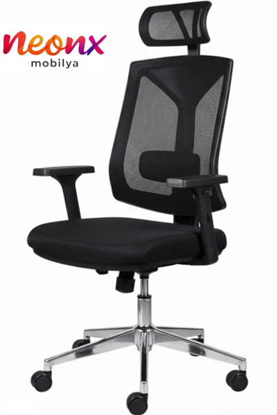 Martı Başlıklı Çalışma Koltuğu