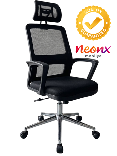 Neonx| Belinay Başlıklı Demir Ayaklı Çalışma Koltuğu 