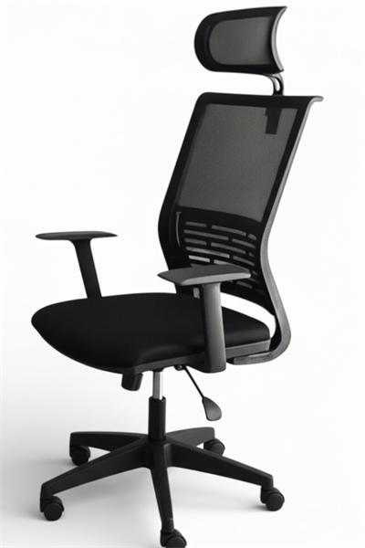 Spring Pro PLastik Ayaklı Çalışma Sandalyesi