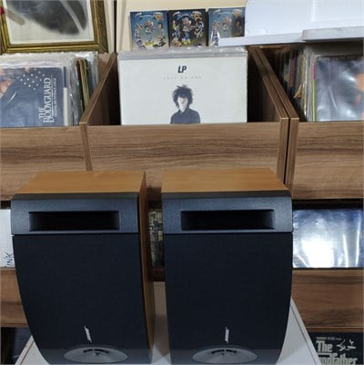 Bose 201 V Speaker 