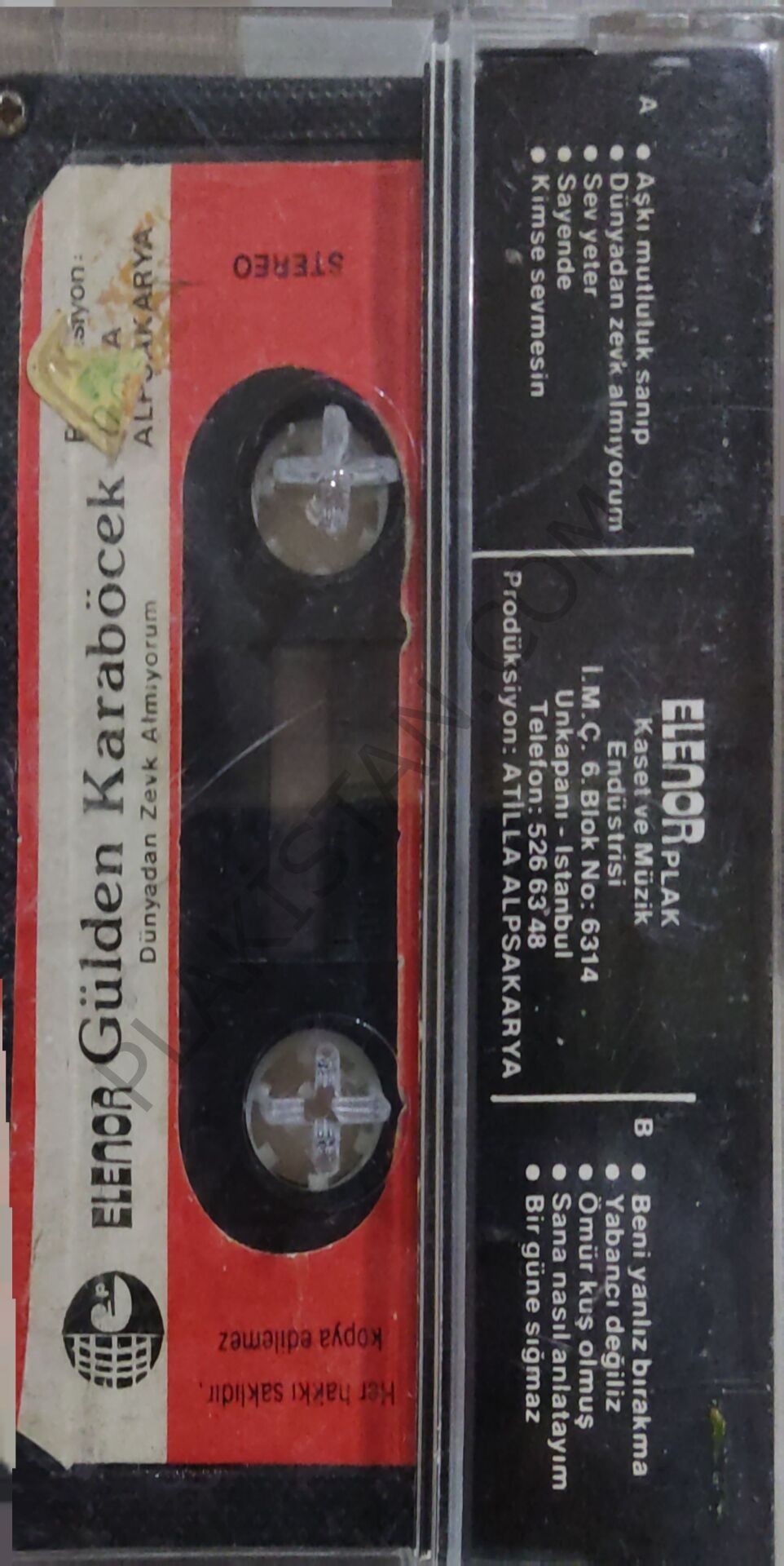 GÜLDEN KARABÖCEK - DÜNYADAN ZEVK ALMIYORUM - KASET | Plakistan
