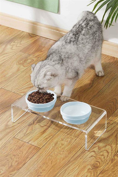 2li Seramik Dekoratif Kedi Ve Köpek Pleksi Mama & Su Kabı Paspas Mavi
