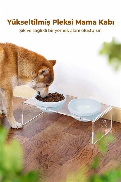 2li Seramik Dekoratif Kedi Ve Köpek Pleksi Mama & Su Kabı Paspas Mavi