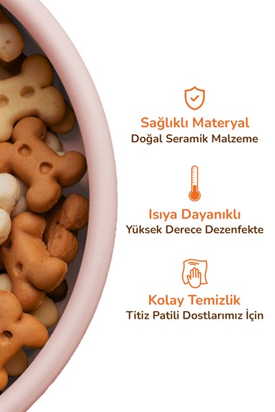 2li Seramik Dekoratif Kedi Ve Köpek Pleksi Mama & Su Kabı Paspas Pembe
