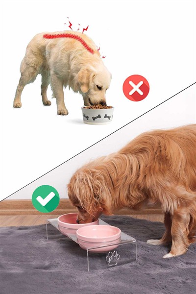 2li Seramik Dekoratif Kedi Ve Köpek Pleksi Mama & Su Kabı Paspas Pembe