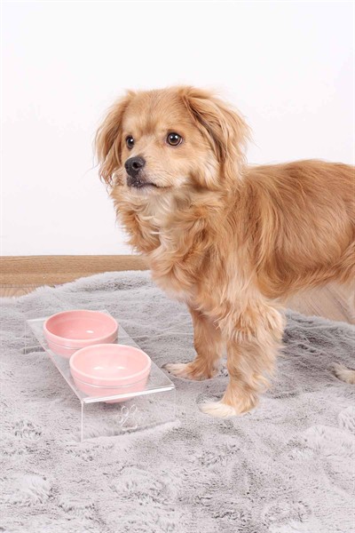 2li Seramik Dekoratif Kedi Ve Köpek Pleksi Mama & Su Kabı Paspas Pembe