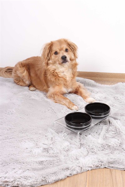 2li Seramik Dekoratif Kedi Ve Köpek Pleksi Mama & Su Kabı Paspas