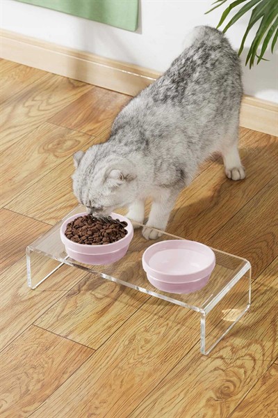 2li Seramik Dekoratif Kedi Ve Köpek Pleksi Mama & Su Kabı Paspas Pembe