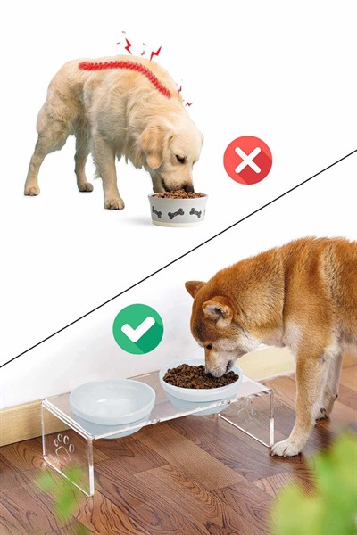 2li Seramik Dekoratif Kedi Ve Köpek Pleksi Mama & Su Kabı Paspas Mavi