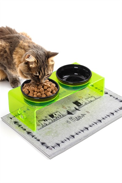 2li Yeşil Pleksi Dekoratif Kedi Ve Köpek Seramik Mama & Su Kabı Paspas Hediye