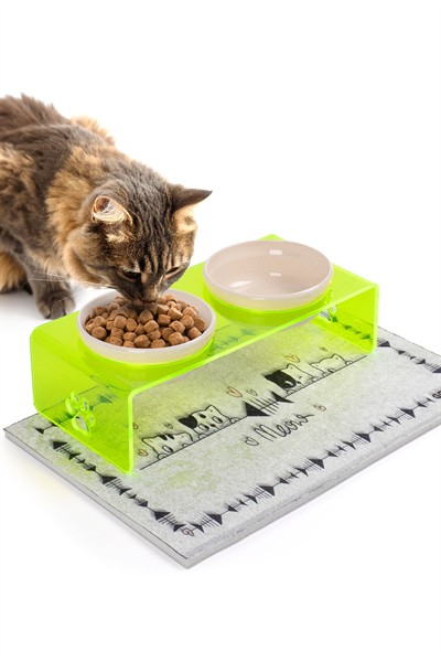2li Yeşil Pleksi Dekoratif Kedi Ve Köpek Seramik Mama & Su Kabı Paspas Hediye