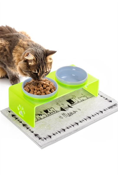 2li Yeşil Pleksi Dekoratif Kedi Ve Köpek Seramik Mama & Su Kabı Paspas Hediye