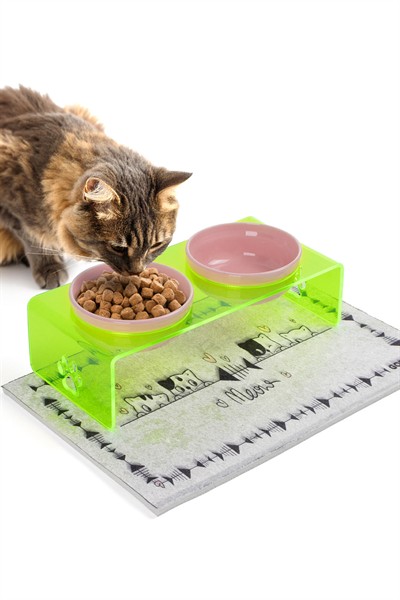2li Yeşil Pleksi Dekoratif Kedi Ve Köpek Seramik Mama & Su Kabı Paspas Hediye