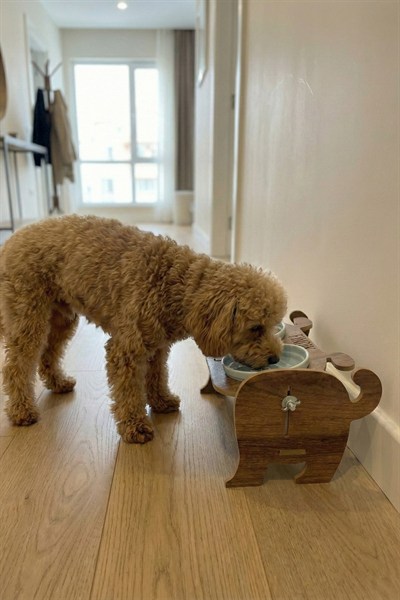 Ahşap Özel Isim Baskılı, Köpek Seramik Mama Su Kabı Standı