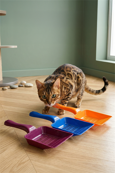 Aralıklı Plastik kedi Kumu Küreği,Temizleme Eleme Küreği Kırmızı