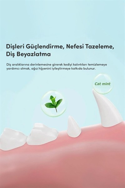 Catnipli Yenilebilir Kedi Nanesi Otu Oyun Topu Oyuncağı Top Oyuncak Kedi Yalama Topu Avokado