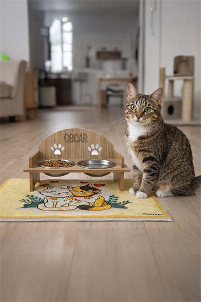 İsme Özel Pati Mama Kabı 2 Kaseli Kedi Köpek Suluk Mamalık, Paspas ve  Avokado Kedi Nanesi Hediye