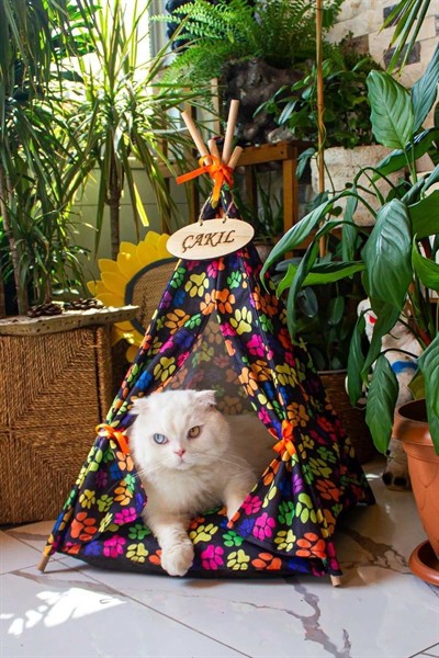 İsme Özel, Yıkanabilir Kedi, Köpek Çadırı, Kolay Kurulum