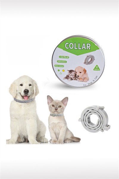 Kedi Anti Pire Kene Önleyici Tasma- 38 Cm Pire Önleyici Tasma, Kene Önleyici Tasma