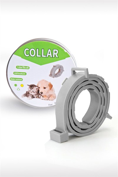 Kedi Anti Pire Kene Önleyici Tasma- 38 Cm Pire Önleyici Tasma, Kene Önleyici Tasma