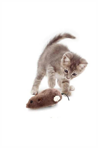 Kurmalı Fare Kedi Oyuncağı Peluş Yaratıcı Oyuncak
