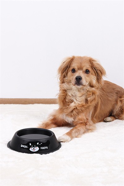 RENKli Metal Mama Kabı, Kedi Köpek Mama Su Kabı 16 cm