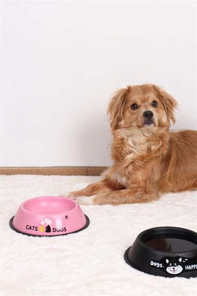 RENKli Metal Mama Kabı, Kedi Köpek Mama Su Kabı 20 cm