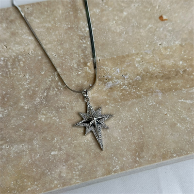 Zirkon Taş İşlemeli Kuzey Yıldızı Yılan Zincir Silver Kolye