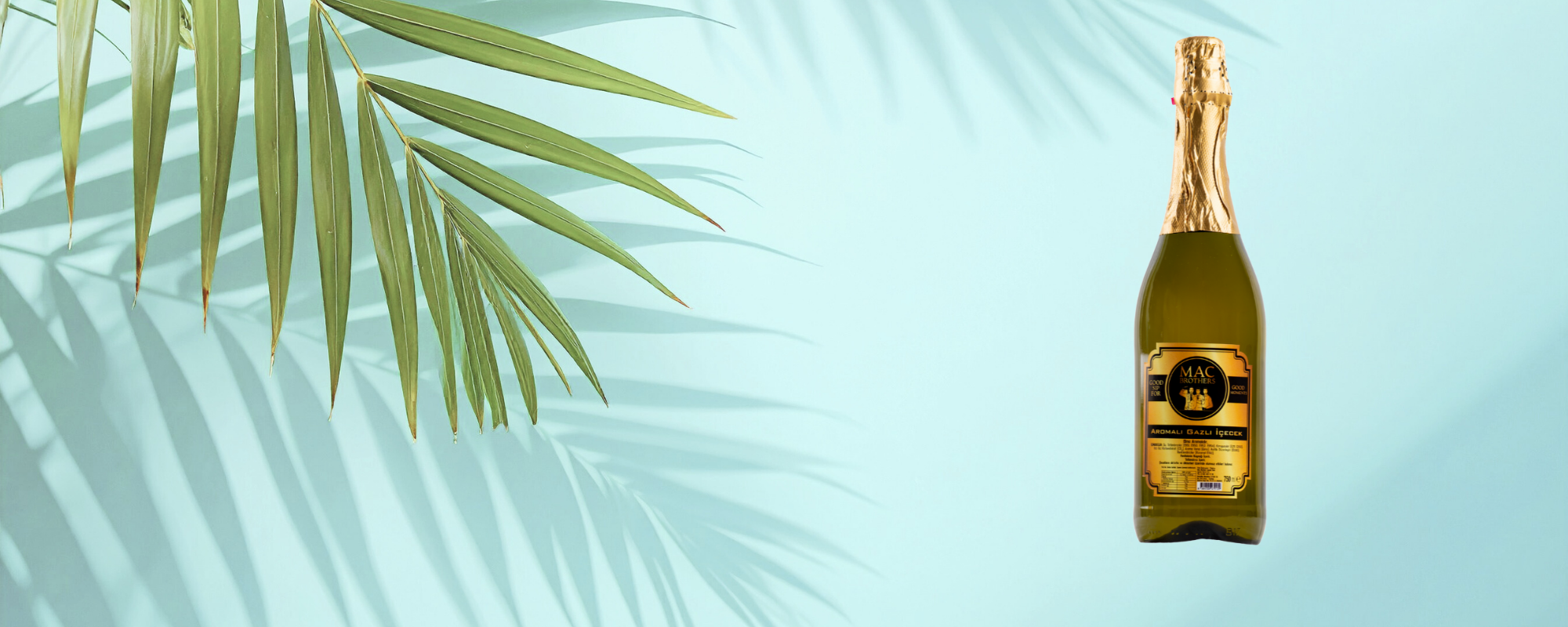 banner2