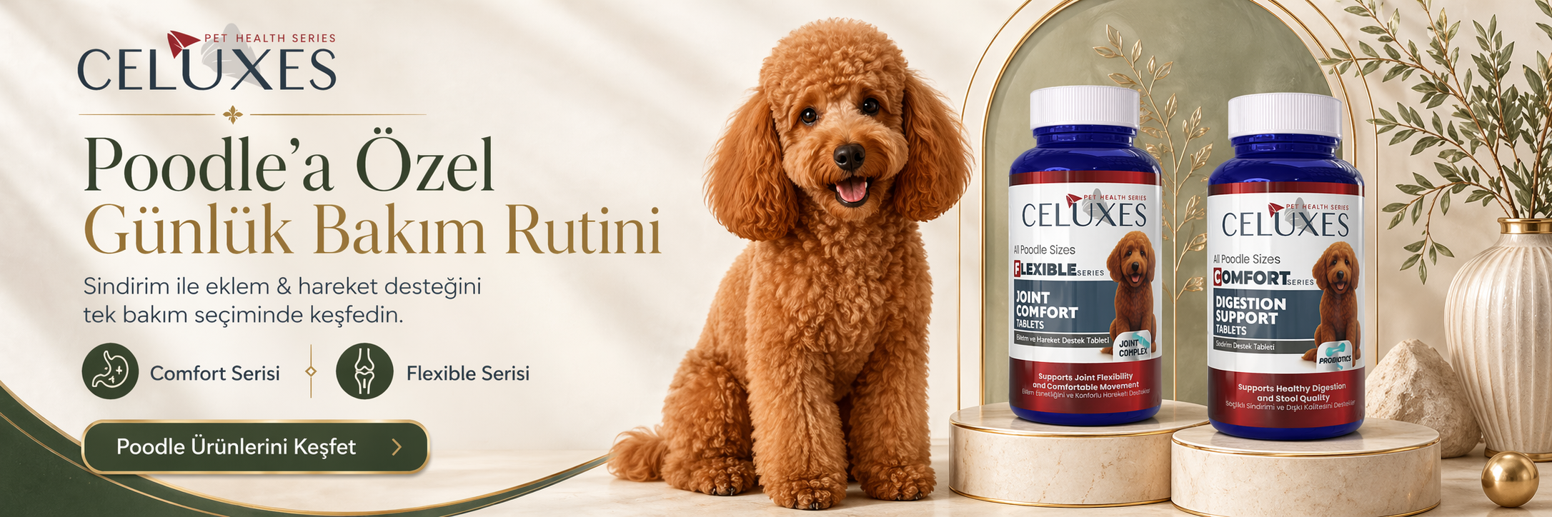 Poodle İçin 2 Seri, 2 Temel Destek