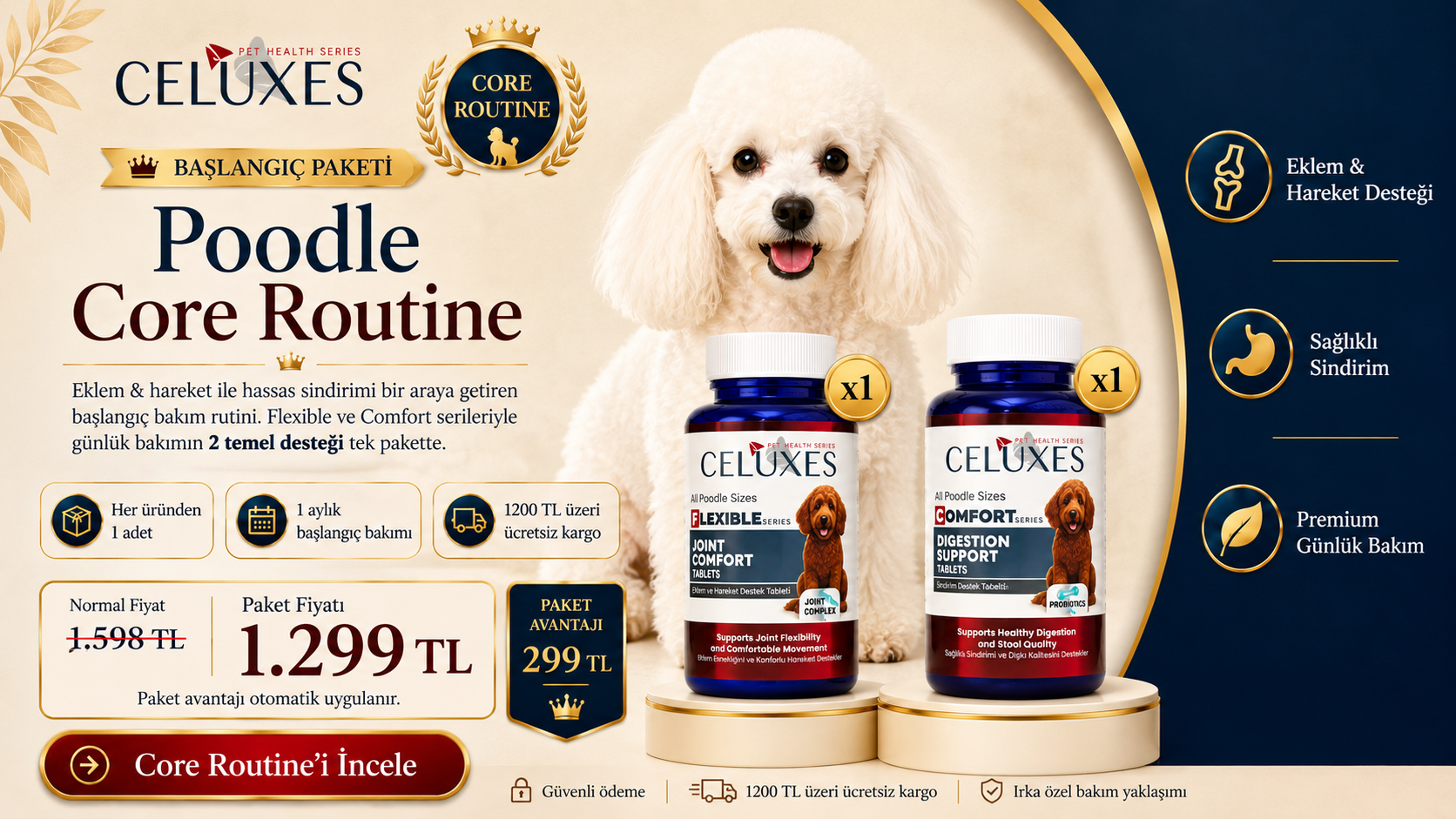 Poodle İçin 2 Seri, 2 Temel Destek