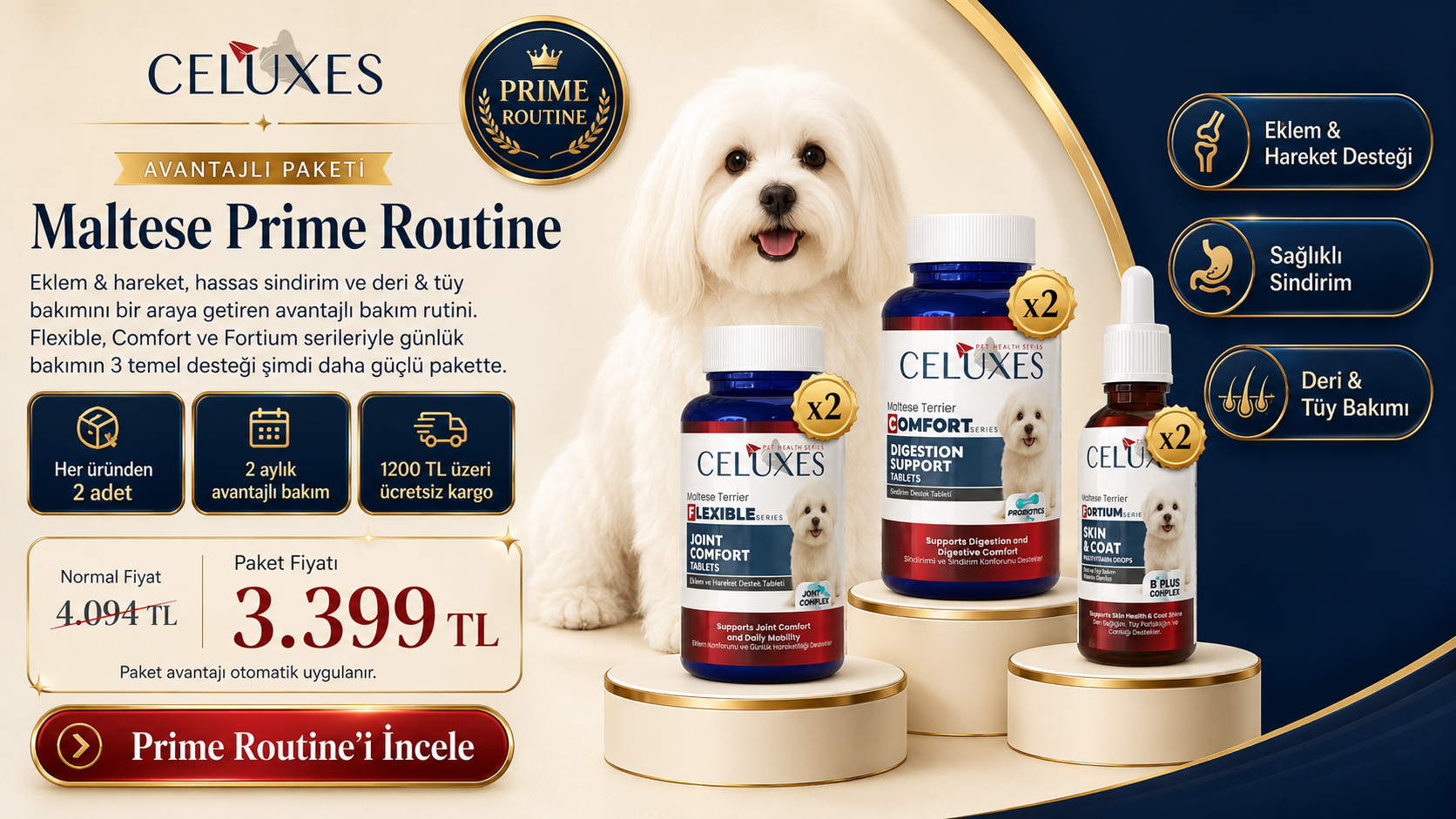Maltese İçin 3 Seri, 3 Temel Destek