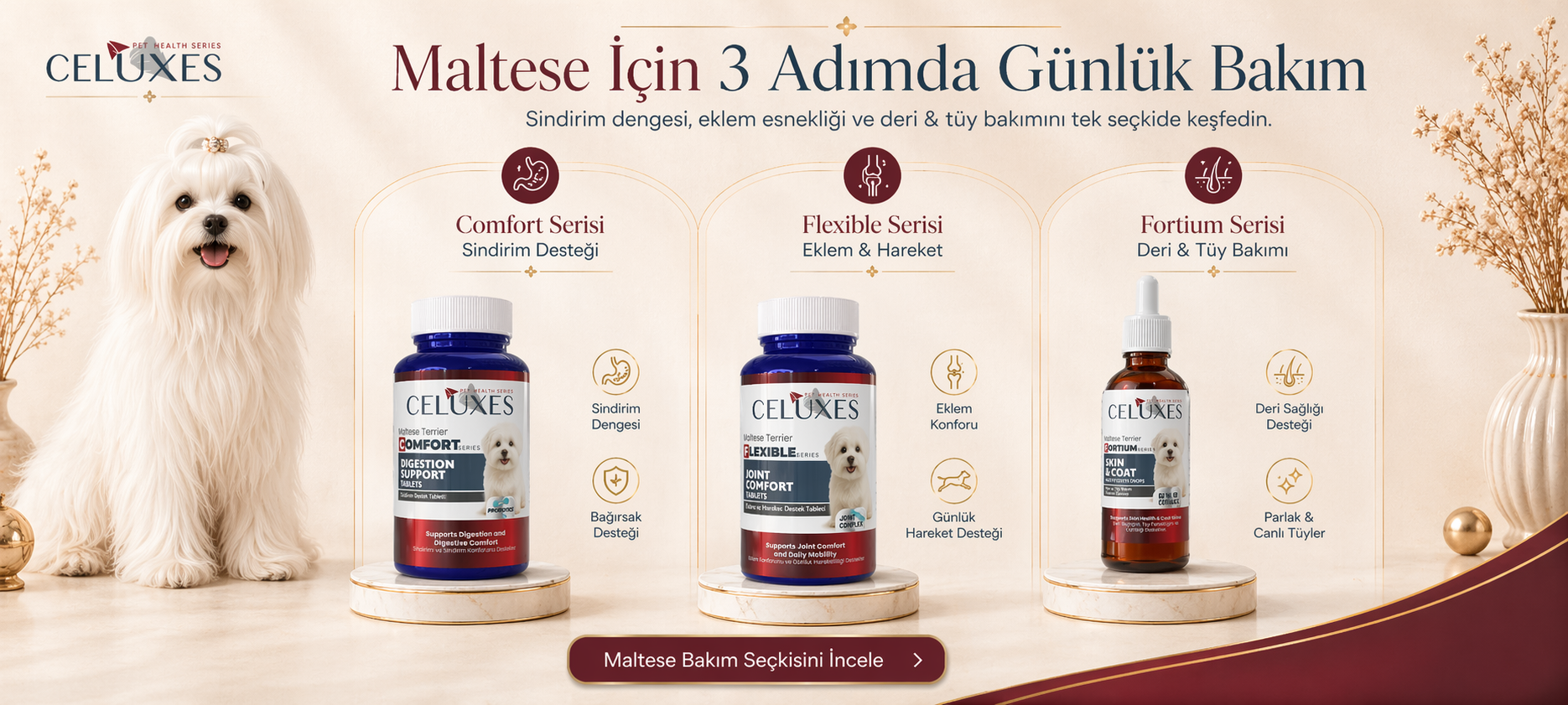 Maltese İçin 3 Seri, 3 Temel Destek