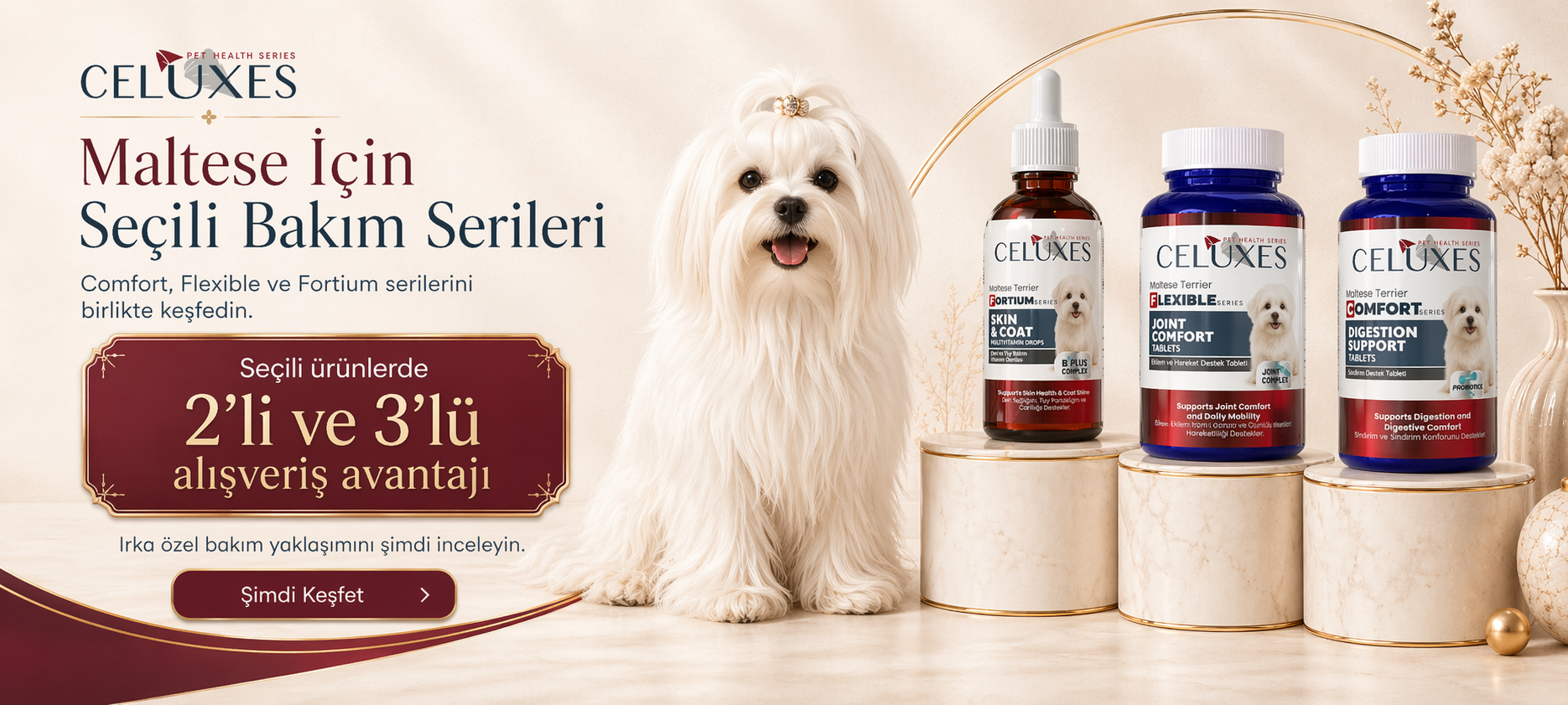 Maltese İçin 3 Seri, 3 Temel Destek