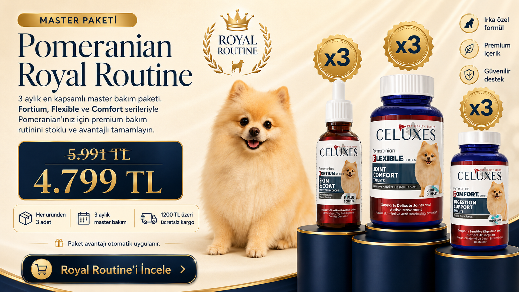 Pomeranian İçin 3 Seri, 3 Temel Destek