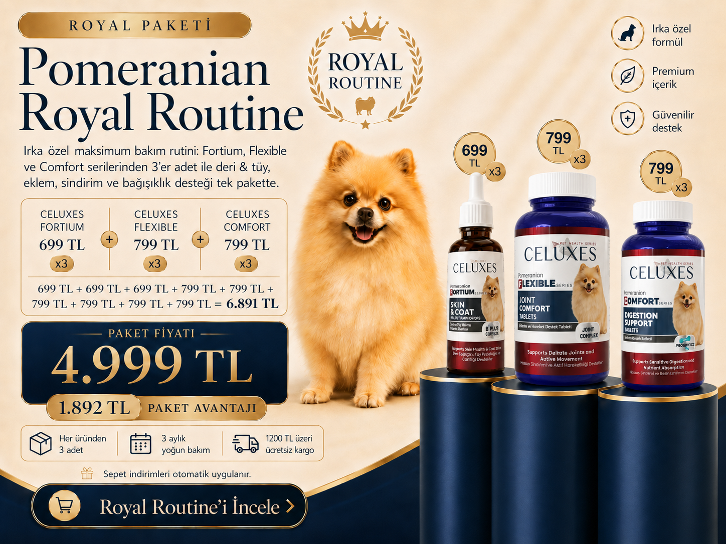 Pomeranian İçin 3 Seri, 3 Temel Destek