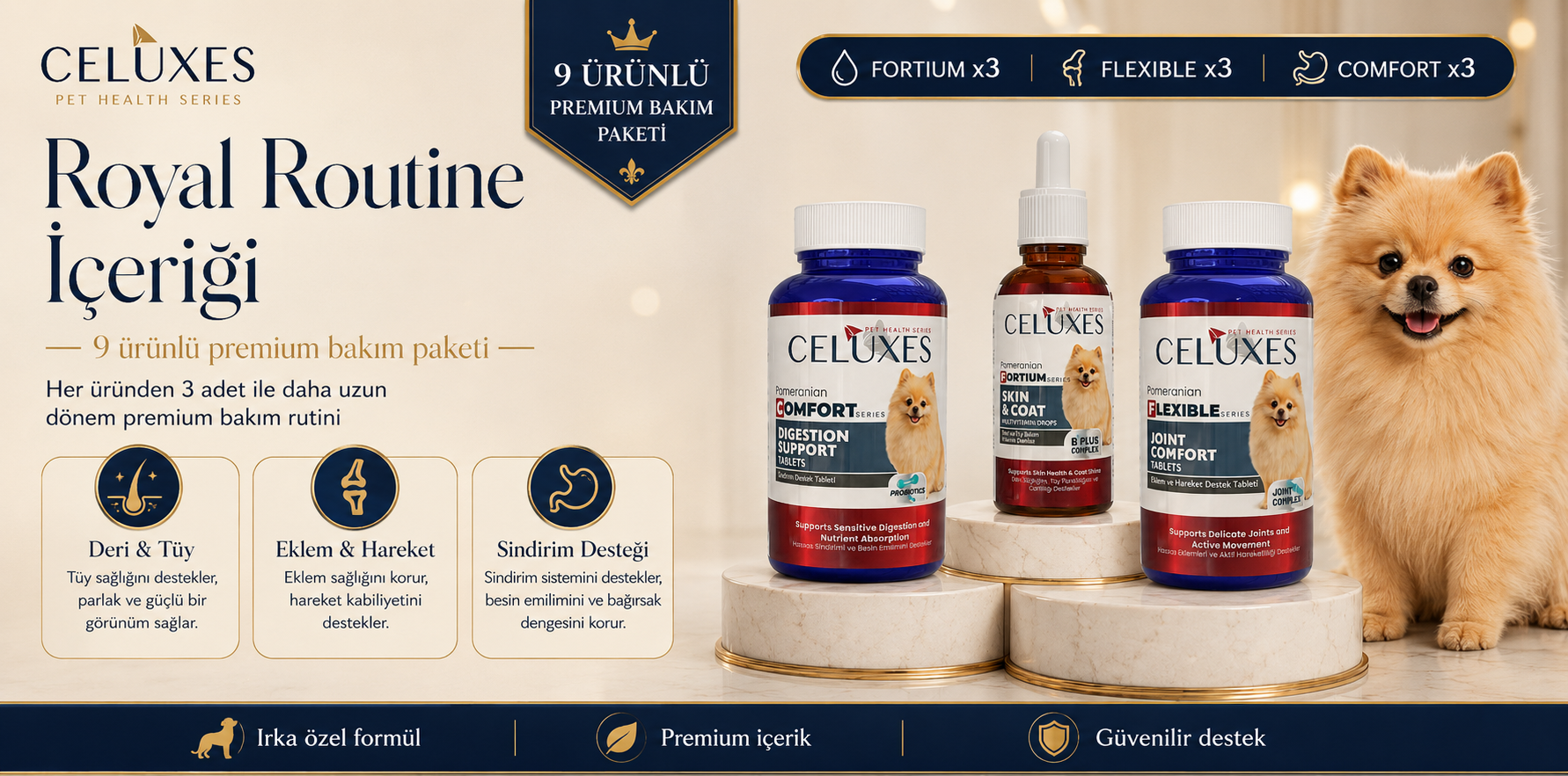 Pomeranian Royal Routine 3 Temel Destek