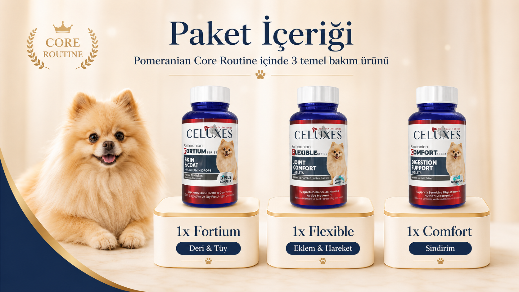 Pomeranian Core Routine Paket İçeriği