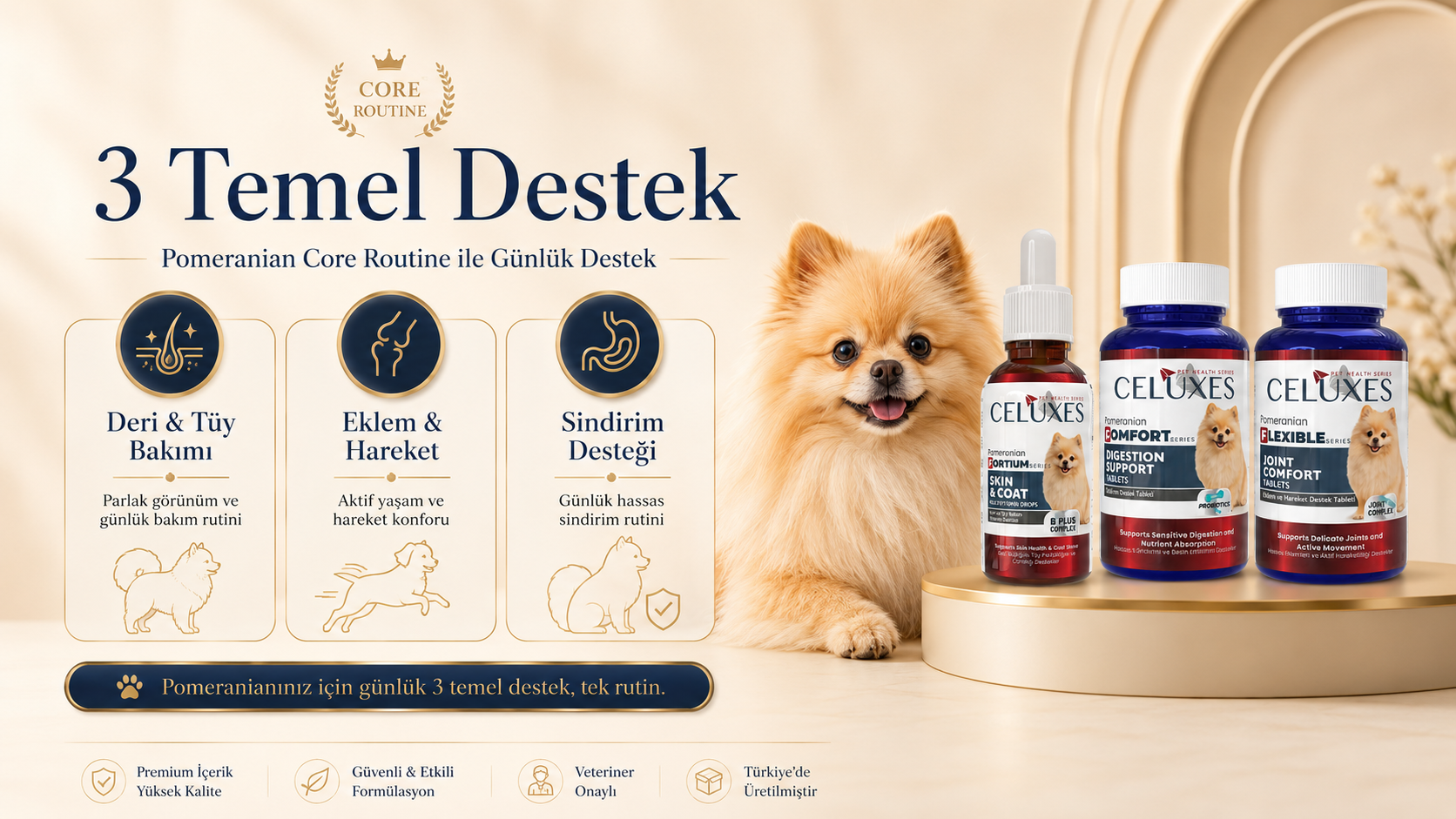 Pomeranian Core Routine 3 Temel Destek