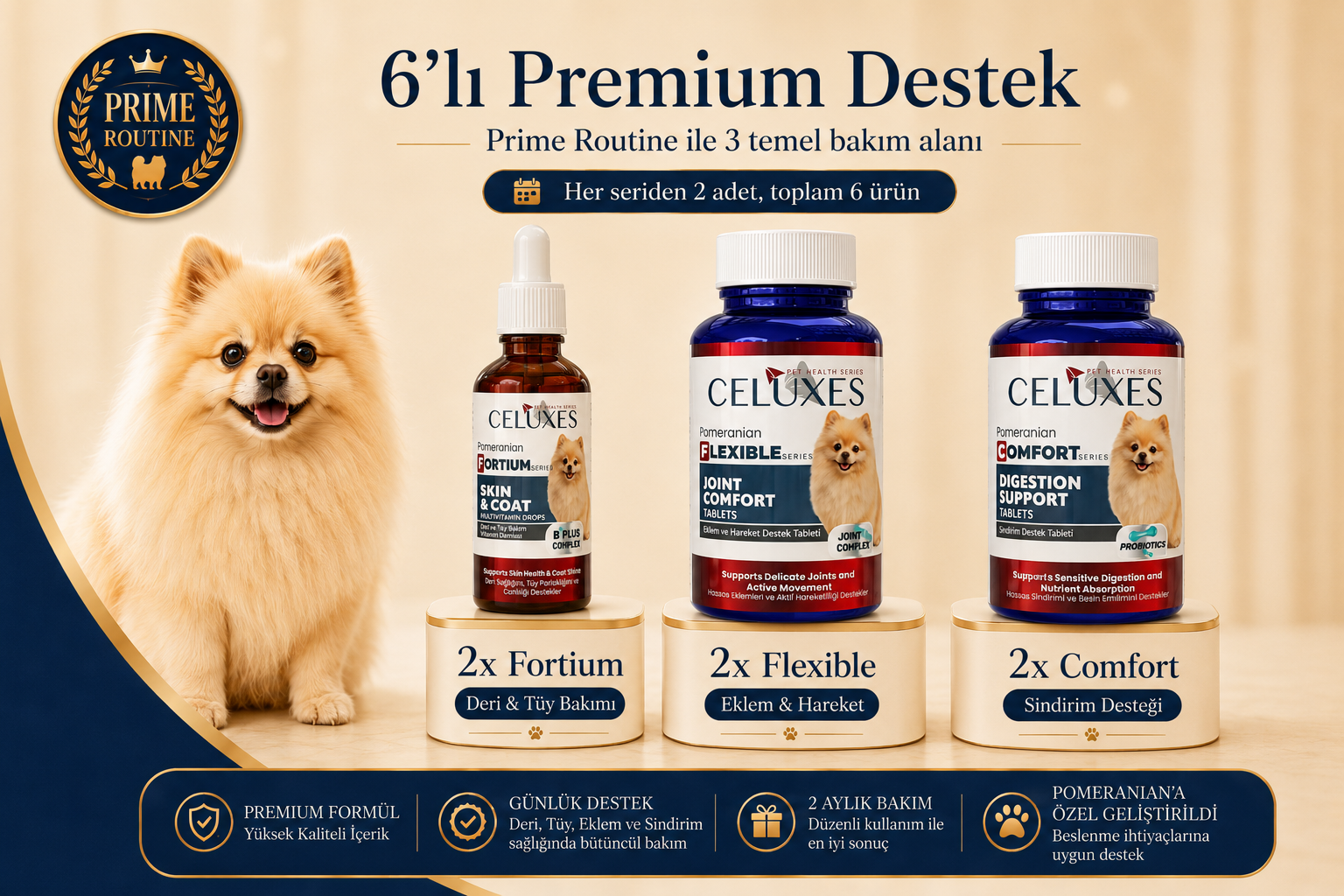 Pomeranian Prime Routine 3 Temel Destek
