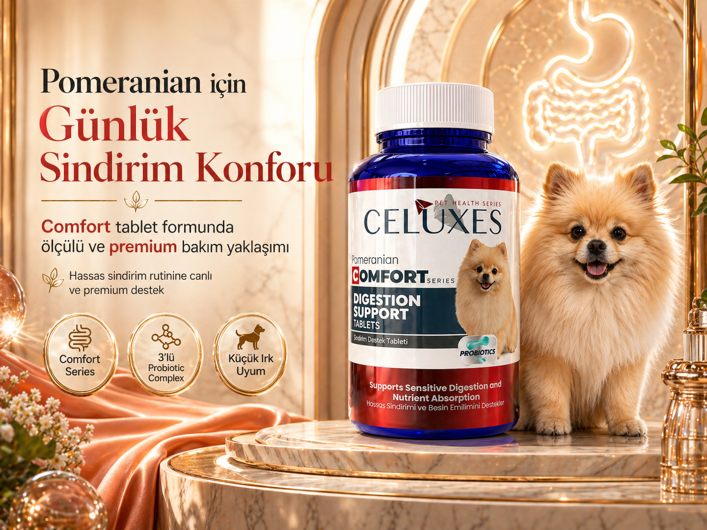 Pomeranian Comfort Tablet
