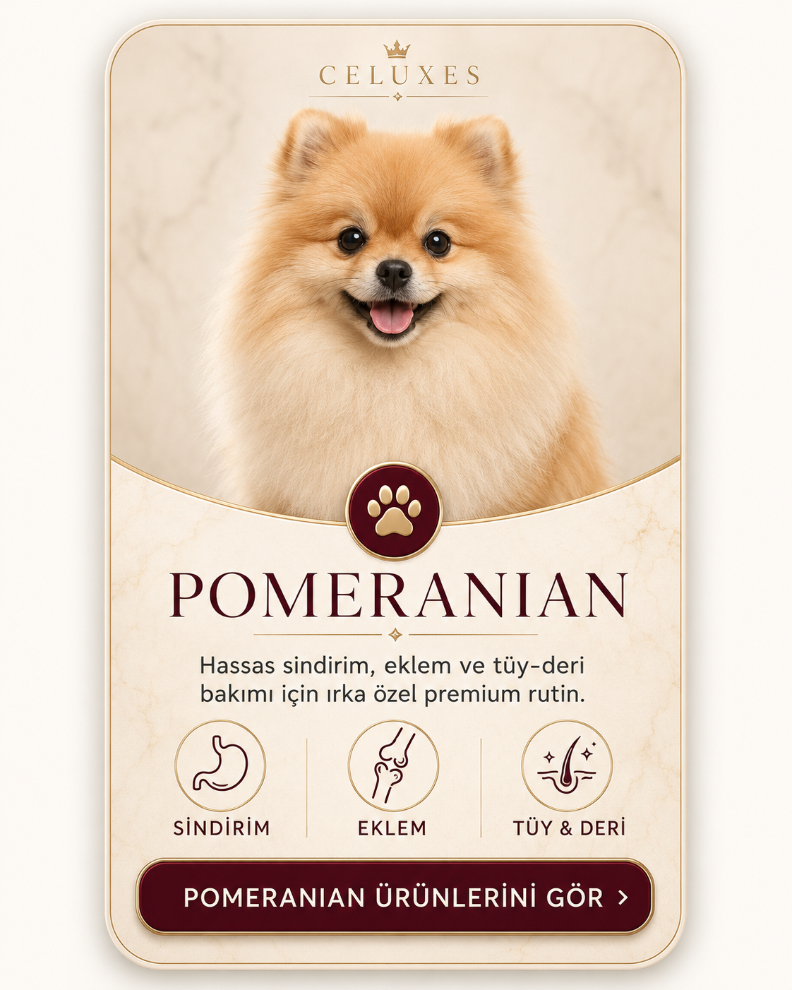 Pomeranian ürünleri